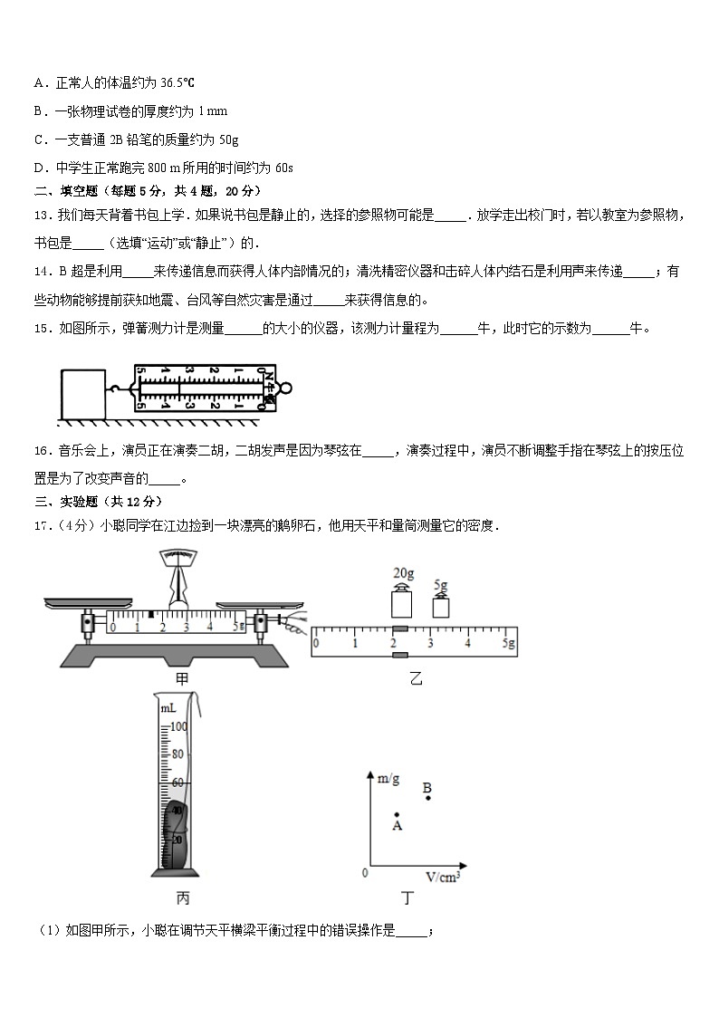 江苏省镇江新区大港中学2023-2024学年物理八年级第一学期期末联考模拟试题含答案03