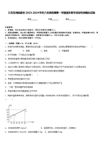 江苏苏州高新区2023-2024学年八年级物理第一学期期末教学质量检测模拟试题含答案