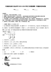 江西省安远县三百山中学2023-2024学年八年级物理第一学期期末统考试题含答案