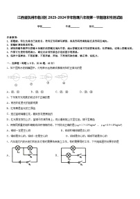 江西省抚州市临川区2023-2024学年物理八年级第一学期期末检测试题含答案