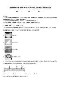 江西省赣州市蓉江新区2023-2024学年八上物理期末达标测试试题含答案