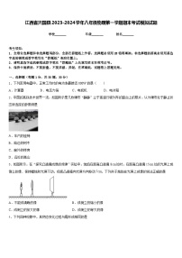 江西省兴国县2023-2024学年八年级物理第一学期期末考试模拟试题含答案