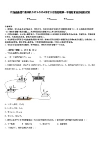 江西省南昌市进贤县2023-2024学年八年级物理第一学期期末监测模拟试题含答案