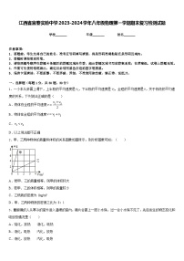 江西省宜春实验中学2023-2024学年八年级物理第一学期期末复习检测试题含答案