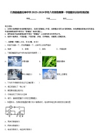 江西省南昌石埠中学2023-2024学年八年级物理第一学期期末达标检测试题含答案