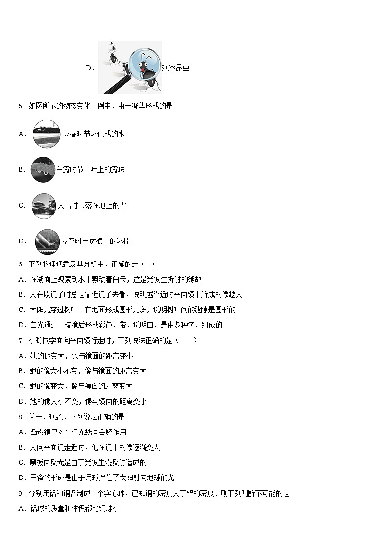 江西省石城县2023-2024学年八上物理期末学业质量监测模拟试题含答案02