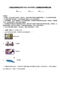江西省永修县军山中学2023-2024学年八上物理期末联考模拟试题含答案