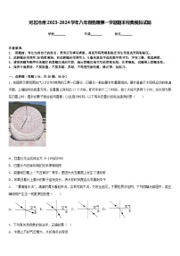 河北沧州2023-2024学年八年级物理第一学期期末经典模拟试题含答案