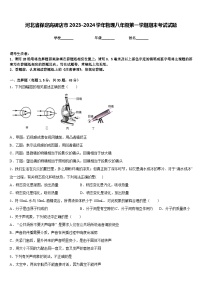 河北省保定高碑店市2023-2024学年物理八年级第一学期期末考试试题含答案