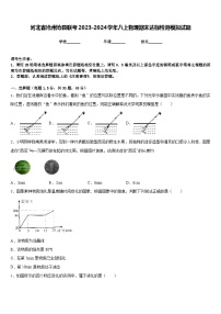 河北省沧州沧县联考2023-2024学年八上物理期末达标检测模拟试题含答案