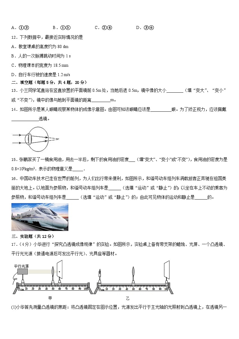 河北省沧州任丘市2023-2024学年八上物理期末质量跟踪监视模拟试题含答案03