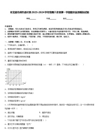 河北省沧州市孟村县2023-2024学年物理八年级第一学期期末监测模拟试题含答案