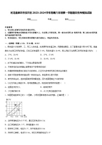 河北省廊坊市安次区2023-2024学年物理八年级第一学期期末统考模拟试题含答案