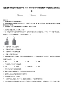 河北省廊坊市霸州市南孟镇中学2023-2024学年八年级物理第一学期期末达标检测试题含答案