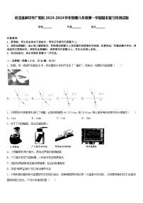 河北省廊坊市广阳区2023-2024学年物理八年级第一学期期末复习检测试题含答案