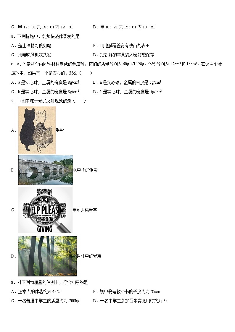 河北省石家庄创新国际学校2023-2024学年八年级物理第一学期期末考试模拟试题含答案第2页