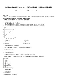 河北省唐山滦南县联考2023-2024学年八年级物理第一学期期末检测模拟试题含答案