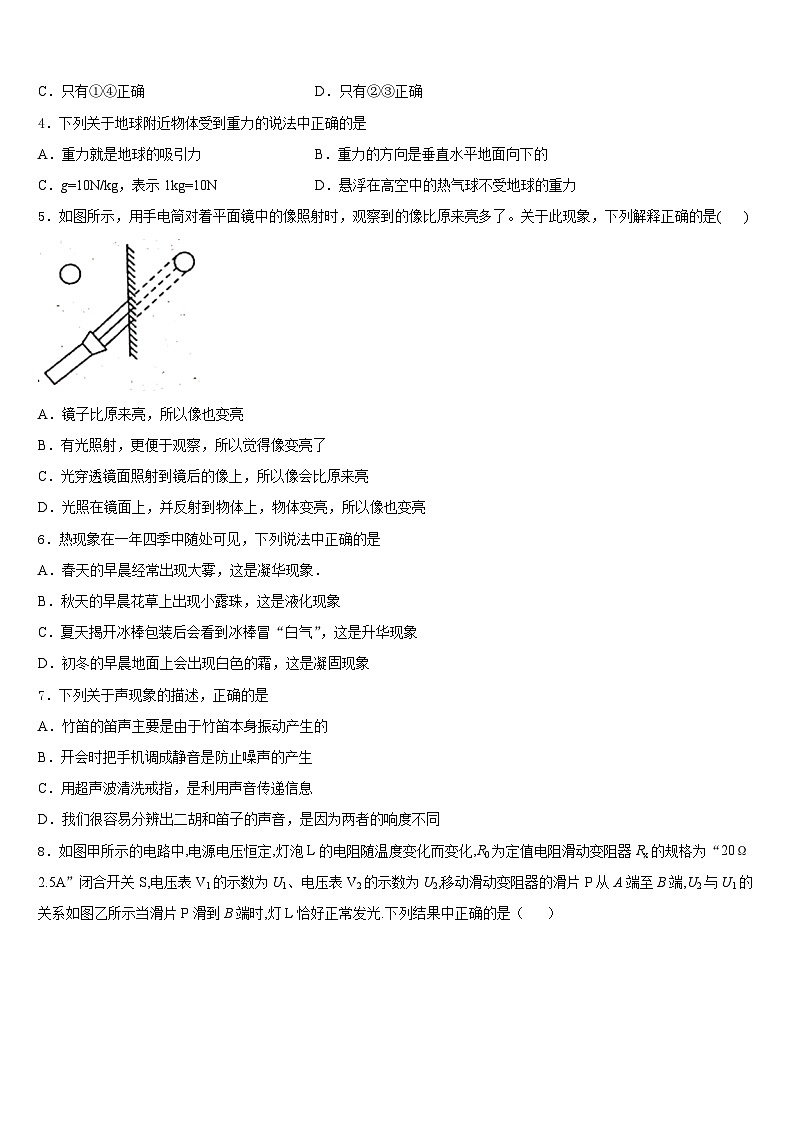 河北省张家口市名校2023-2024学年八年级物理第一学期期末考试模拟试题含答案02