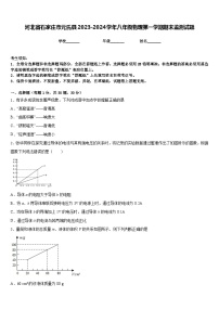 河北省石家庄市元氏县2023-2024学年八年级物理第一学期期末监测试题含答案