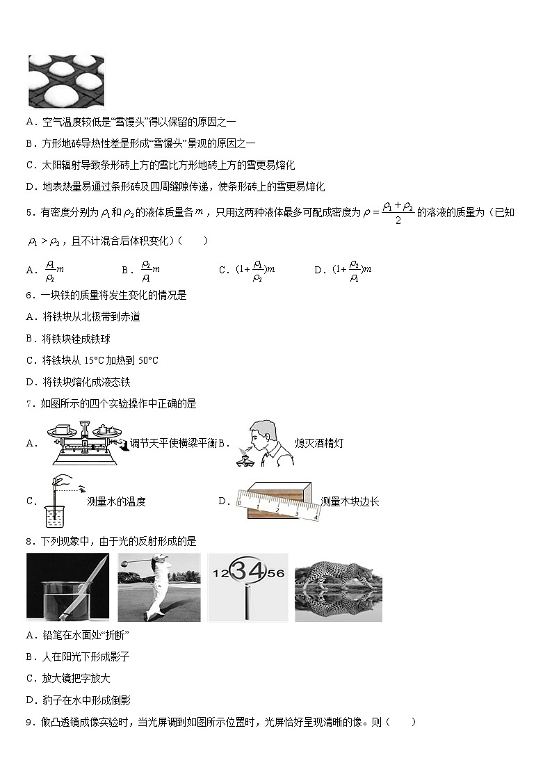 河北省石家庄市28中学2023-2024学年物理八上期末考试试题含答案02