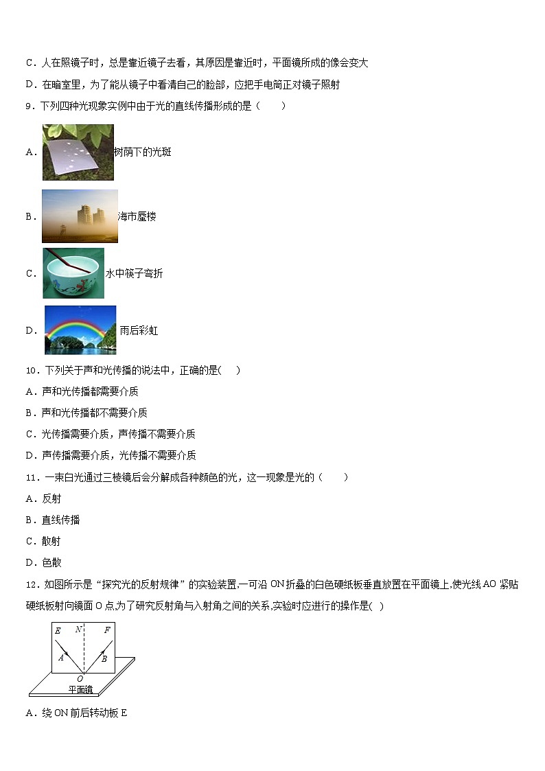 河北省永清县2023-2024学年八上物理期末检测模拟试题含答案第3页
