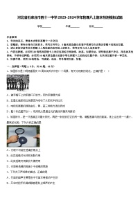 河北省石家庄市四十一中学2023-2024学年物理八上期末检测模拟试题含答案