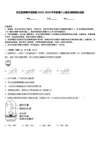 河北省邯郸市馆陶县2023-2024学年物理八上期末调研模拟试题含答案