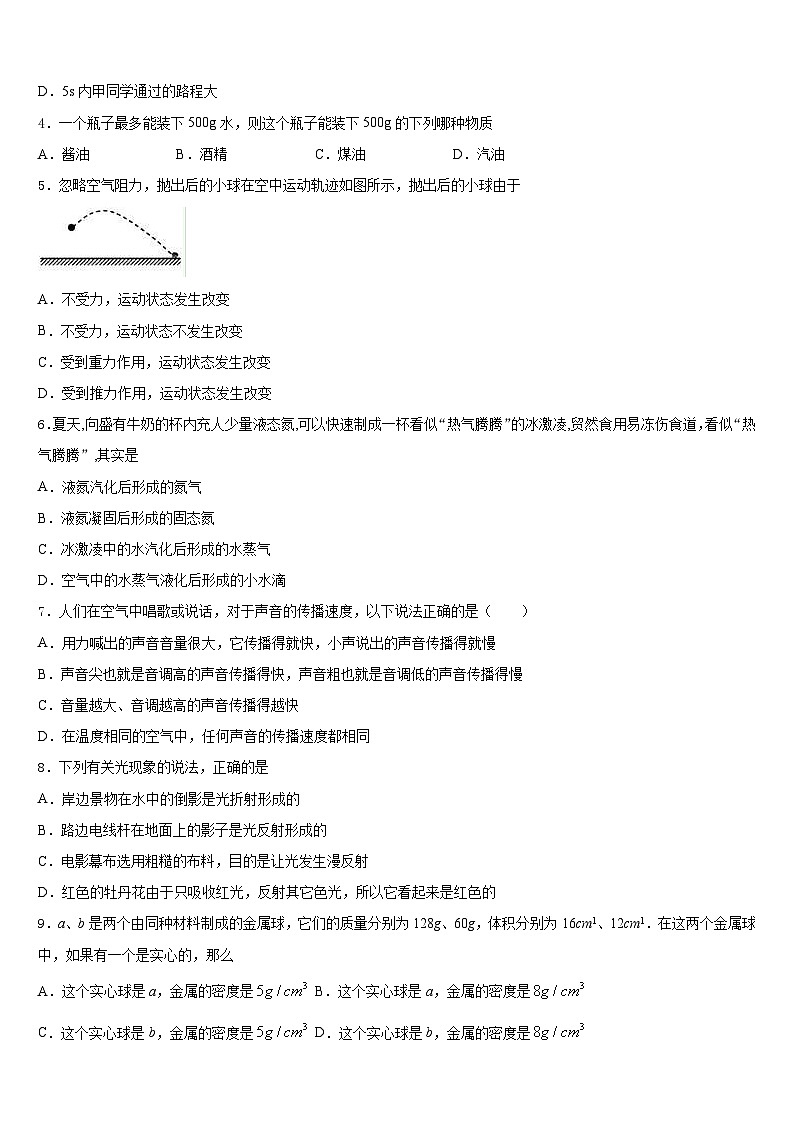 河北省邯郸市邯郸市育华中学2023-2024学年八年级物理第一学期期末考试模拟试题含答案02