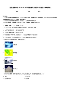 河北省衡水市2023-2024学年物理八年级第一学期期末调研试题含答案