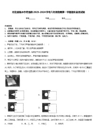 河北省衡水市枣强县2023-2024学年八年级物理第一学期期末监测试题含答案