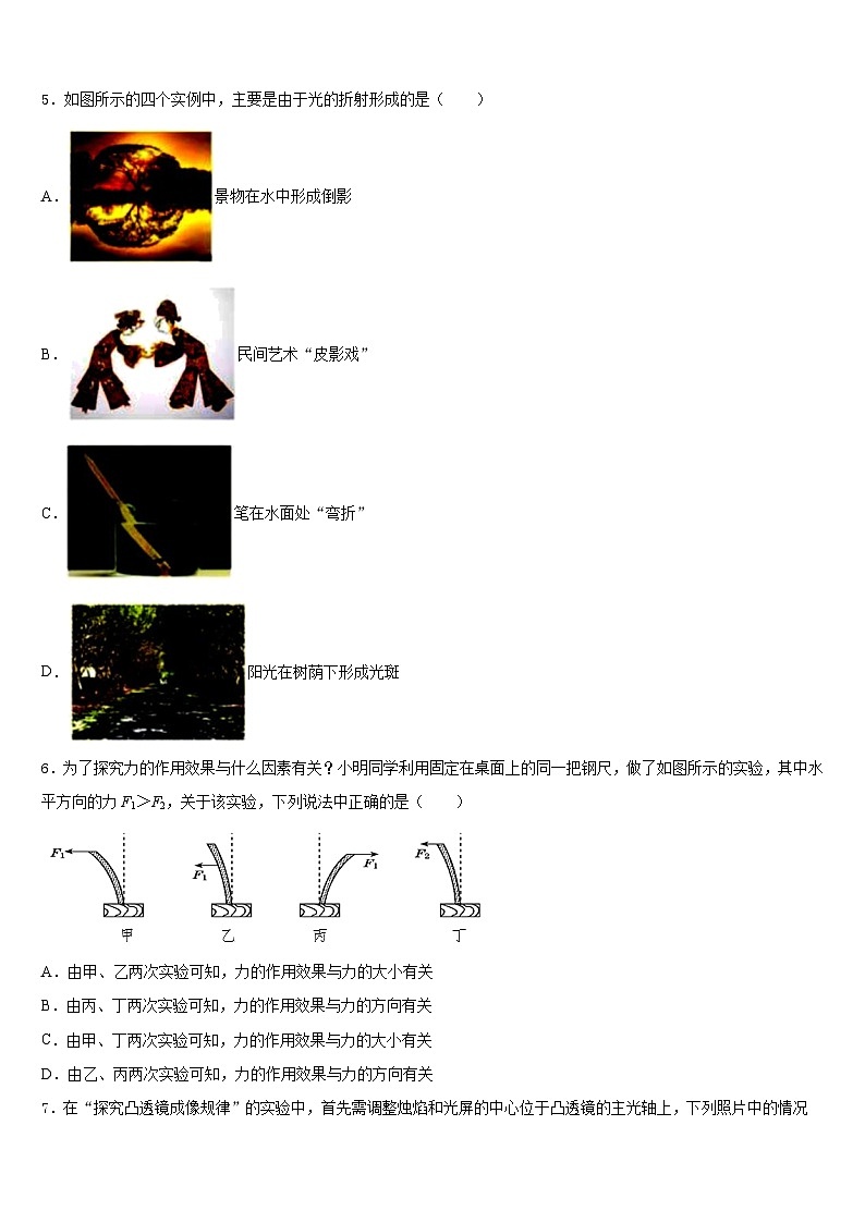 河北省隆化县2023-2024学年八年级物理第一学期期末教学质量检测模拟试题含答案第2页
