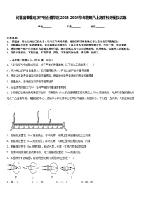 河北省秦皇岛抚宁区台营学区2023-2024学年物理八上期末检测模拟试题含答案