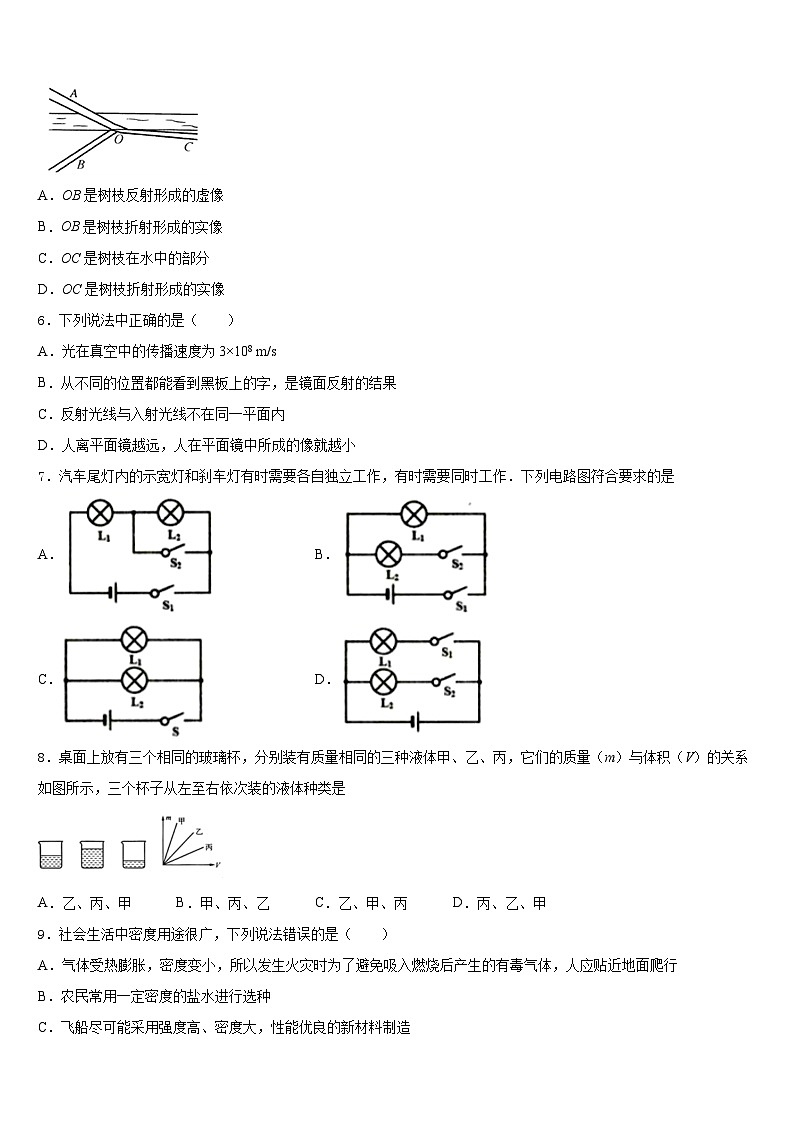 河北省秦皇岛市抚宁台营区2023-2024学年物理八年级第一学期期末调研模拟试题含答案02