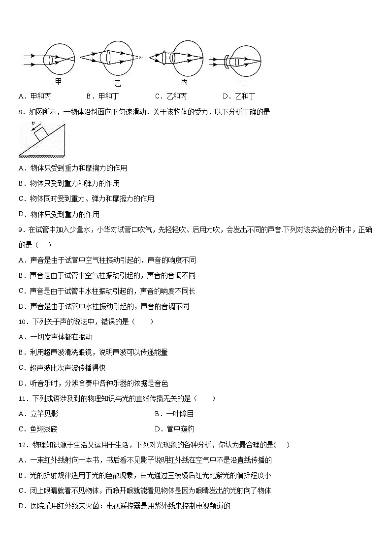 河北省石家庄市高邑县2023-2024学年八年级物理第一学期期末达标检测模拟试题含答案03