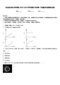 河北省石家庄市桥西区2023-2024学年物理八年级第一学期期末经典模拟试题含答案