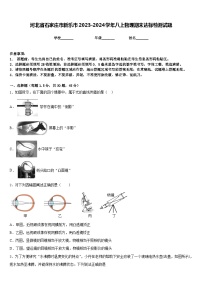 河北省石家庄市新乐市2023-2024学年八上物理期末达标检测试题含答案