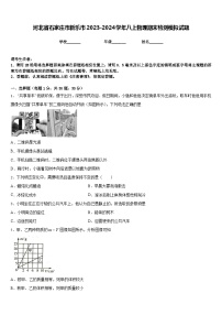 河北省石家庄市新乐市2023-2024学年八上物理期末检测模拟试题含答案