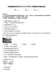 河南省信阳市第九中学2023-2024学年八上物理期末统考模拟试题含答案