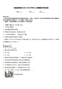 河南省临颍县2023-2024学年八上物理期末检测试题含答案