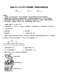 河南省2023-2024学年八年级物理第一学期期末检测模拟试题含答案