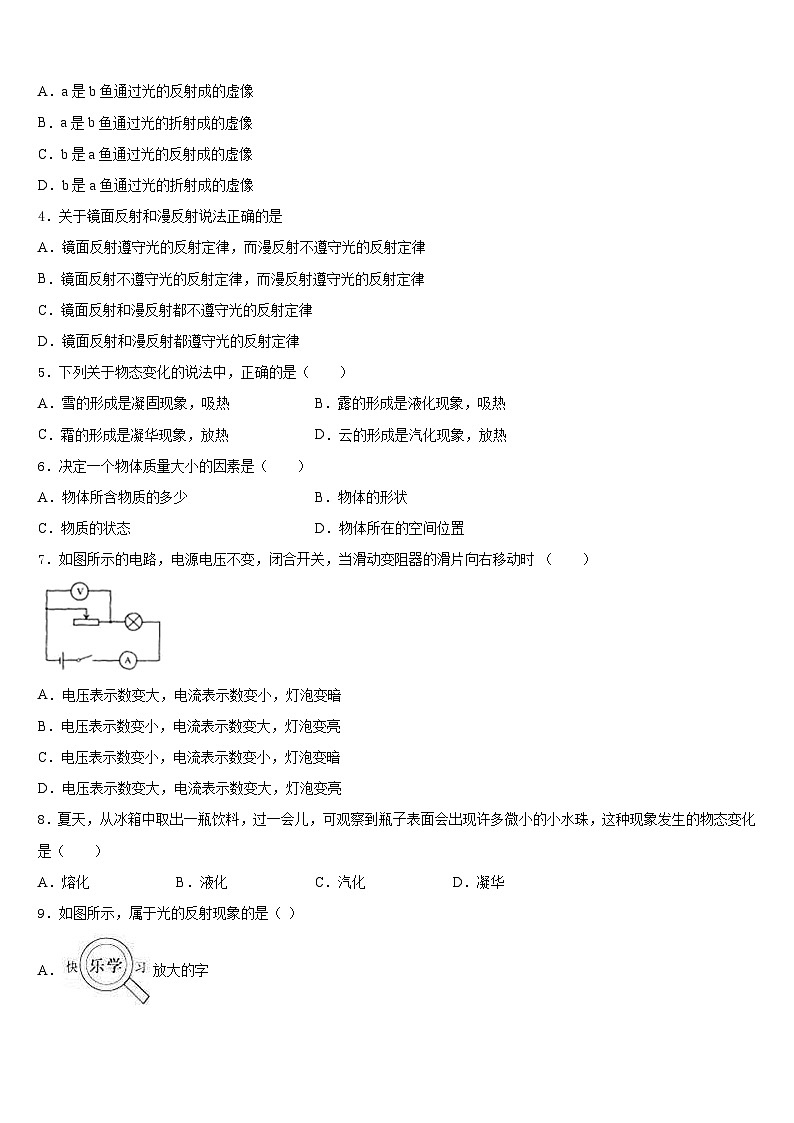 河南师范大附属中学2023-2024学年物理八年级第一学期期末联考模拟试题含答案02