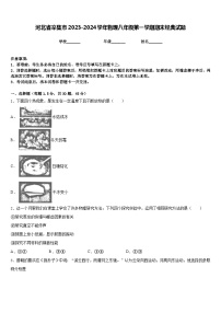 河北省辛集市2023-2024学年物理八年级第一学期期末经典试题含答案