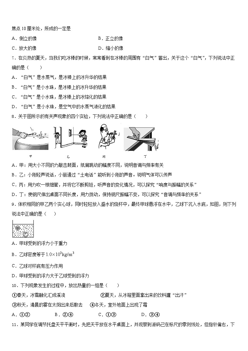 河南省林州市2023-2024学年物理八上期末达标检测模拟试题含答案02