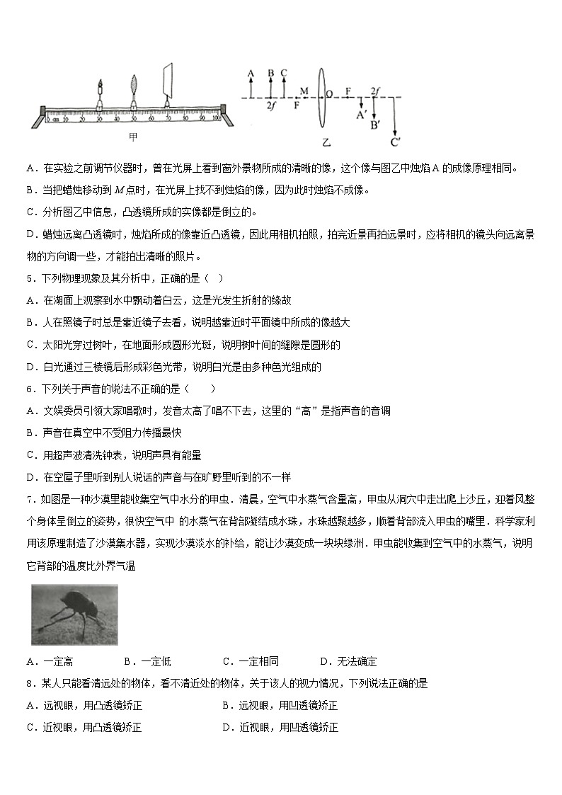 河南省洛阳市洛宁县2023-2024学年物理八年级第一学期期末综合测试模拟试题含答案02