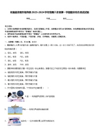 河南省洛阳市偃师县2023-2024学年物理八年级第一学期期末综合测试试题含答案