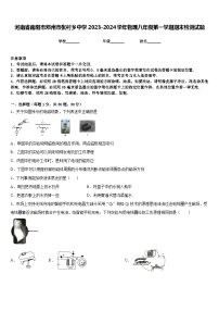 河南省南阳市邓州市张村乡中学2023-2024学年物理八年级第一学期期末检测试题含答案