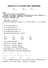 河南省平顶山2023-2024学年物理八年级第一学期期末调研试题含答案