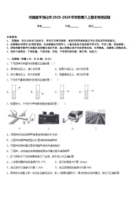 河南省平顶山市2023-2024学年物理八上期末预测试题含答案