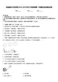 河南省新乡市延津县2023-2024学年八年级物理第一学期期末监测模拟试题含答案