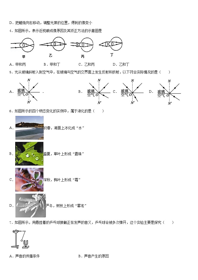 河南省周口商水县联考2023-2024学年物理八年级第一学期期末质量检测试题含答案第2页